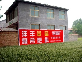 枣阳如何让墙体广告展现最大化效果
