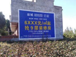 枣阳品牌公司青睐的墙体广告