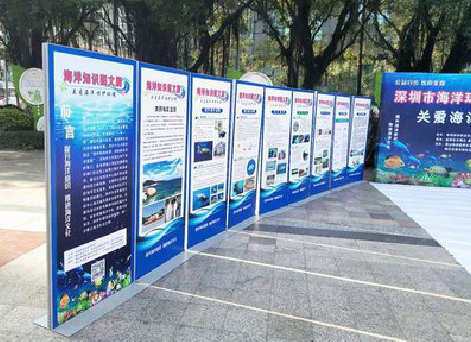 枣阳KT板的种类和知识。